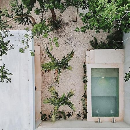 Villa La Sultana: Amazing New House With Pool And Bikes Included. Valladolid  Exterior foto