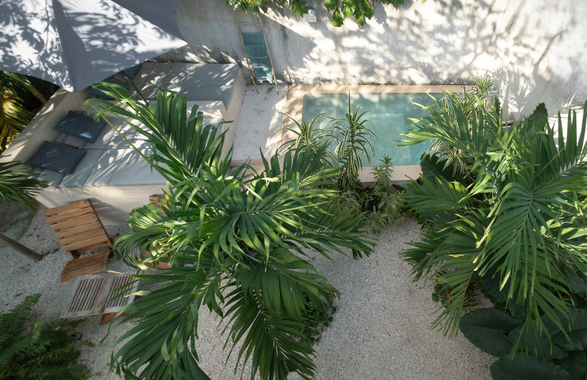 Villa La Sultana: Amazing New House With Pool And Bikes Included. Valladolid  Exterior foto