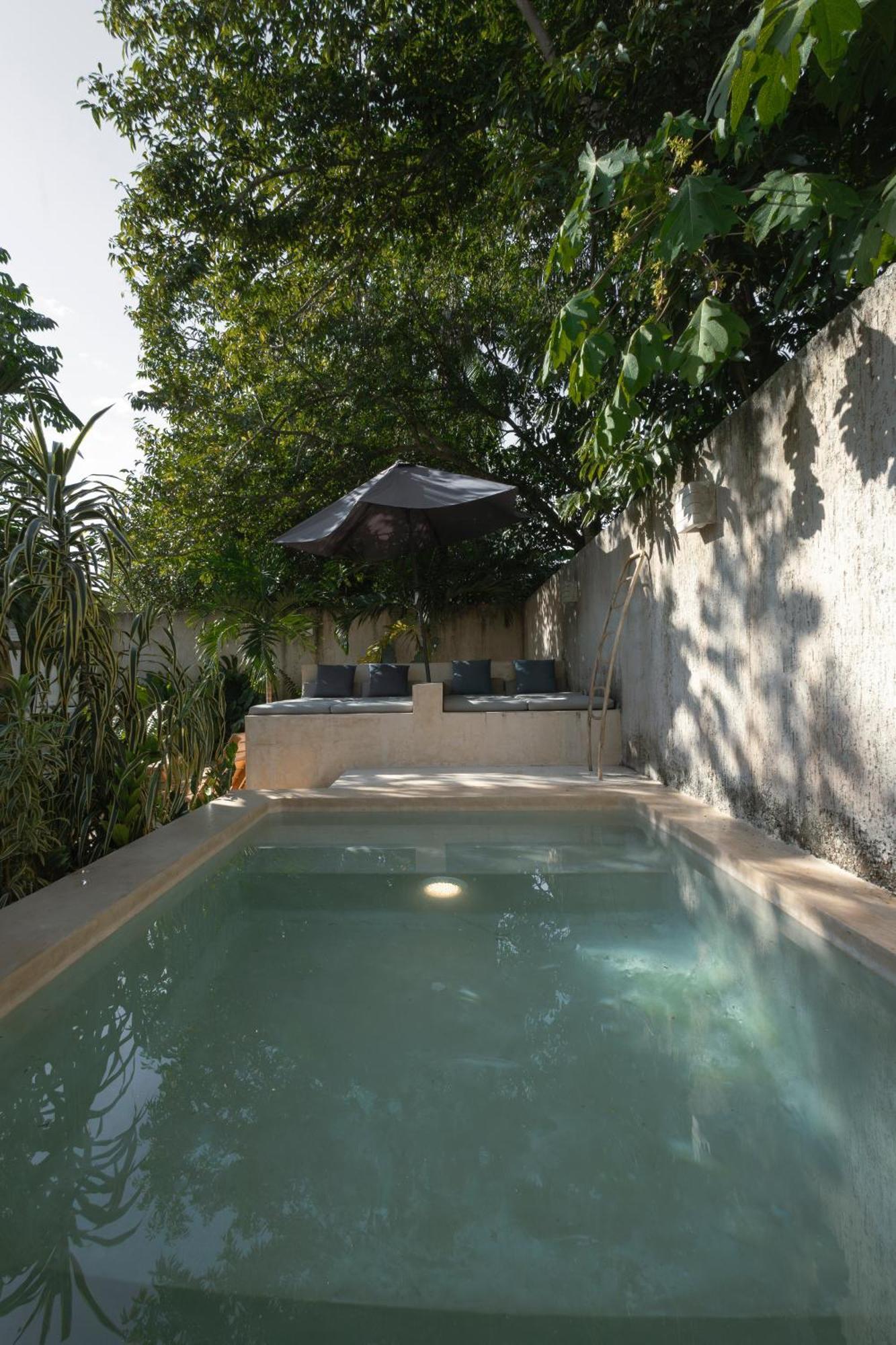 Villa La Sultana: Amazing New House With Pool And Bikes Included. Valladolid  Exterior foto