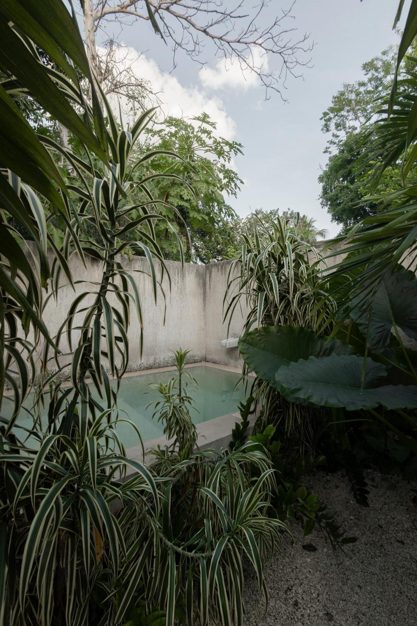 Villa La Sultana: Amazing New House With Pool And Bikes Included. Valladolid  Exterior foto