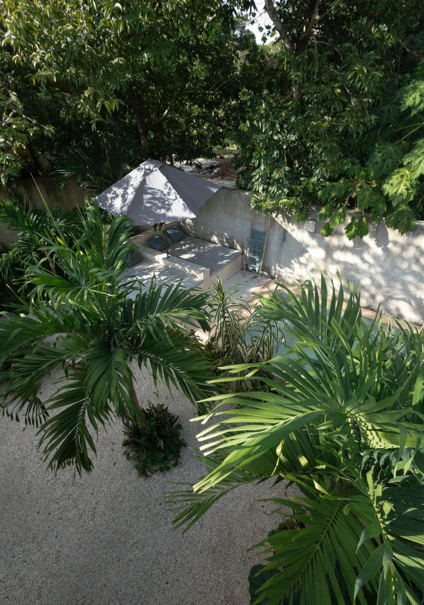 Villa La Sultana: Amazing New House With Pool And Bikes Included. Valladolid  Exterior foto