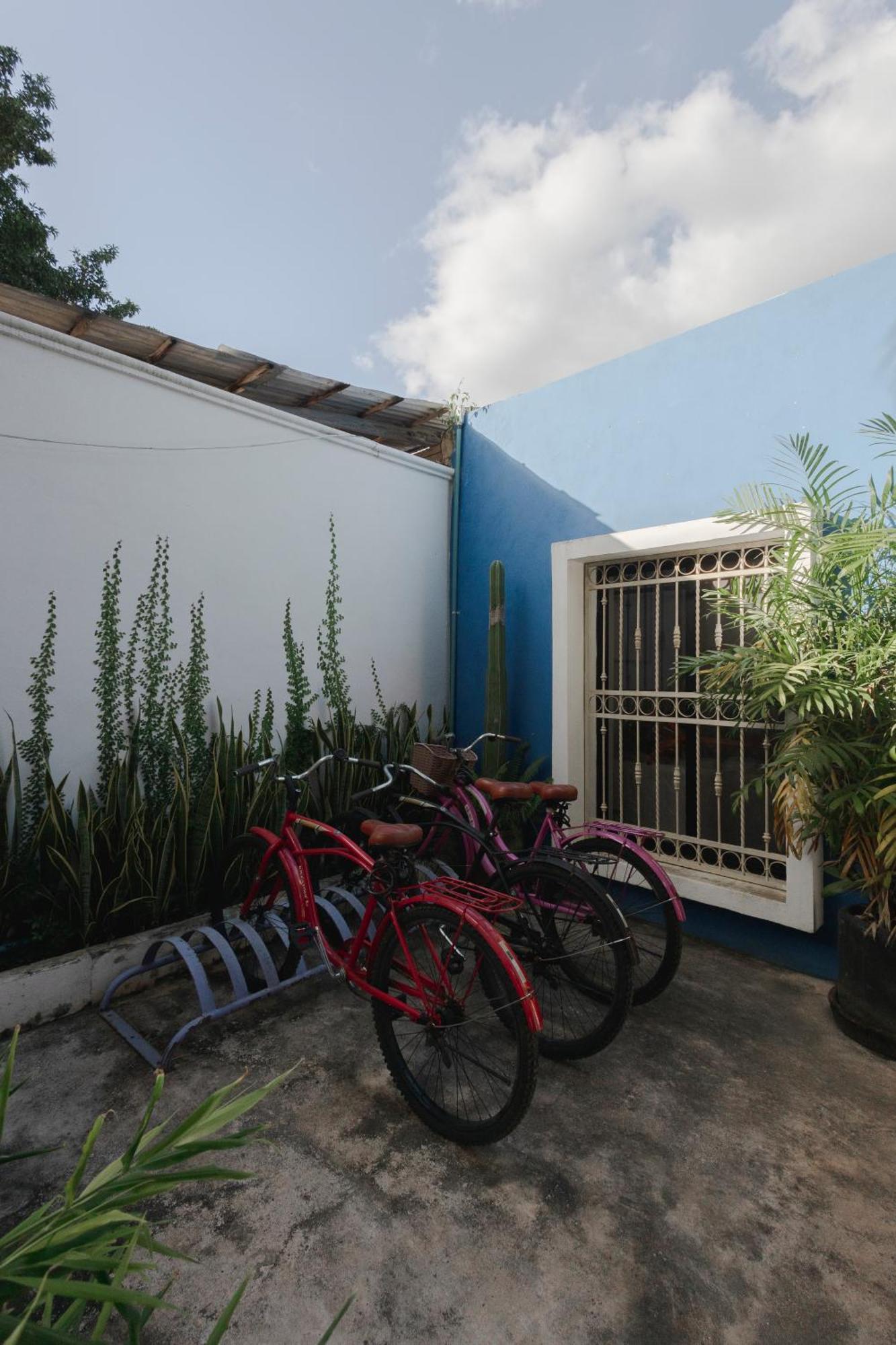 Villa La Sultana: Amazing New House With Pool And Bikes Included. Valladolid  Exterior foto